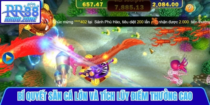 Bí quyết săn cá lớn và tích lũy điểm thưởng cao