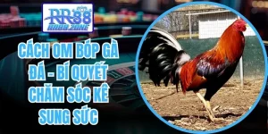 Cách om bóp gà đá