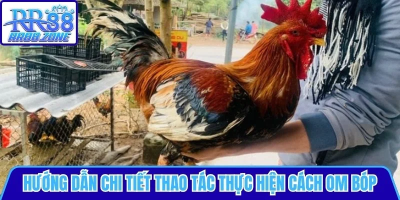 Hướng dẫn chi tiết cách om bóp