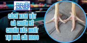 cách xem vảy gà