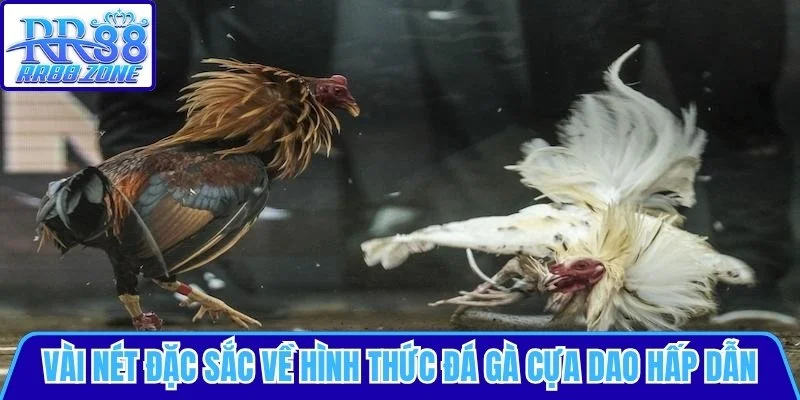Vài nét đặc sắc về hình thức đá gà cựa dao
