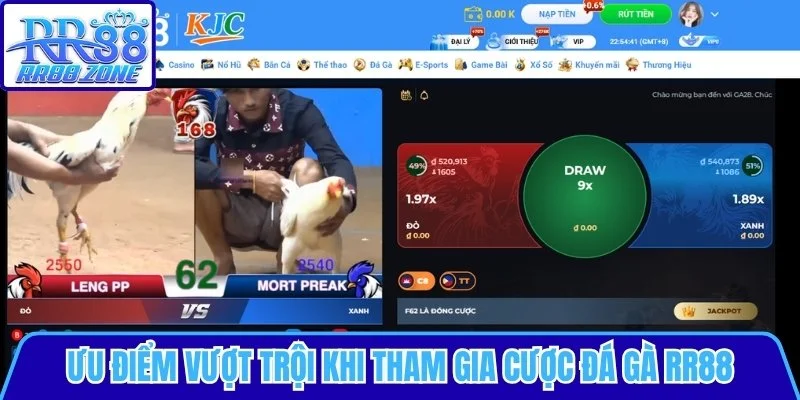 Ưu điểm vượt trội khi tham gia cược Đá Gà RR88