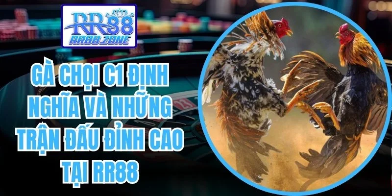 Gà Chọi C1