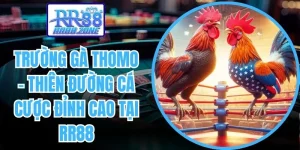 trường gà Thomo