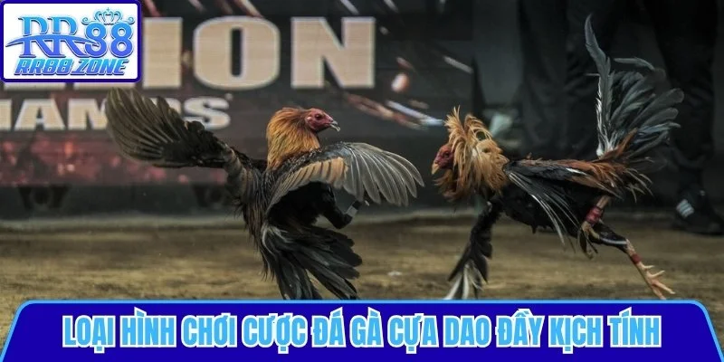 Cược đá gà cựa dao kịch tính