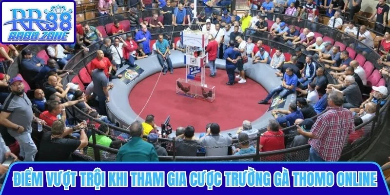 Điểm vượt trội khi tham gia cá cược trường gà Thomo online